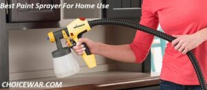 best paint sprayer for home use